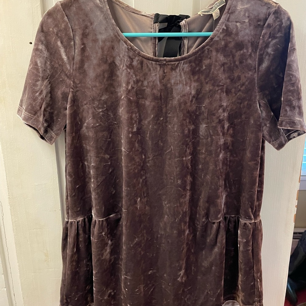 Velvet Short Sleeve Top in Mauve